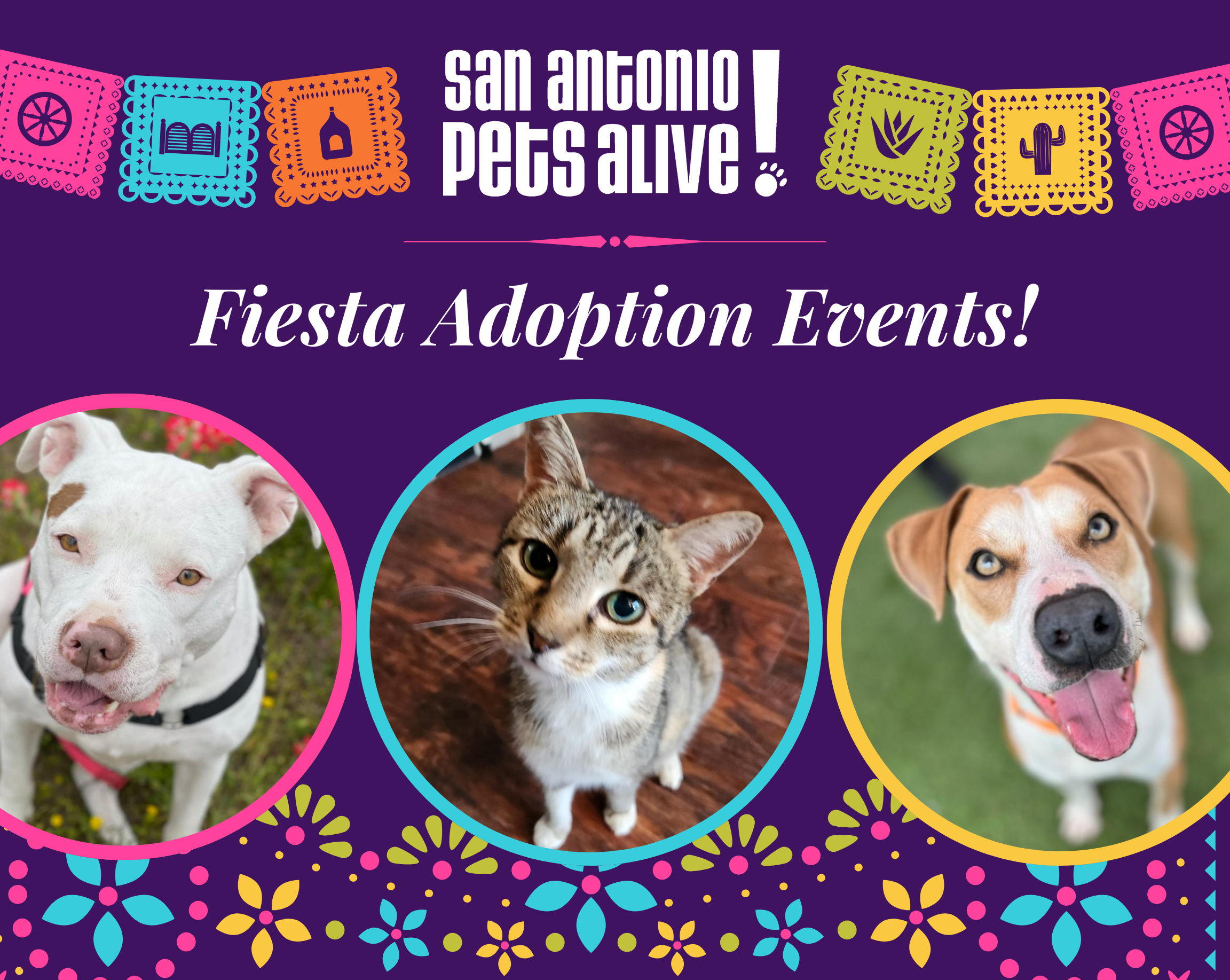 SAPA! Pet Adoption Events